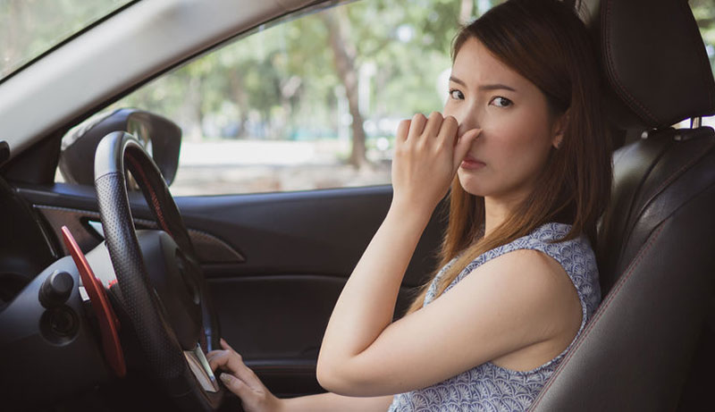 Get Human Urine Smell Out of Car